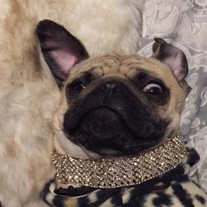 AKIRA Jeweled Choker